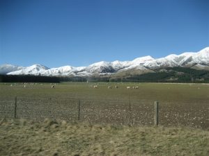 Hanmer Springs 溫泉區