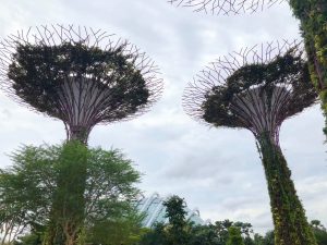 Gardens By The Bay