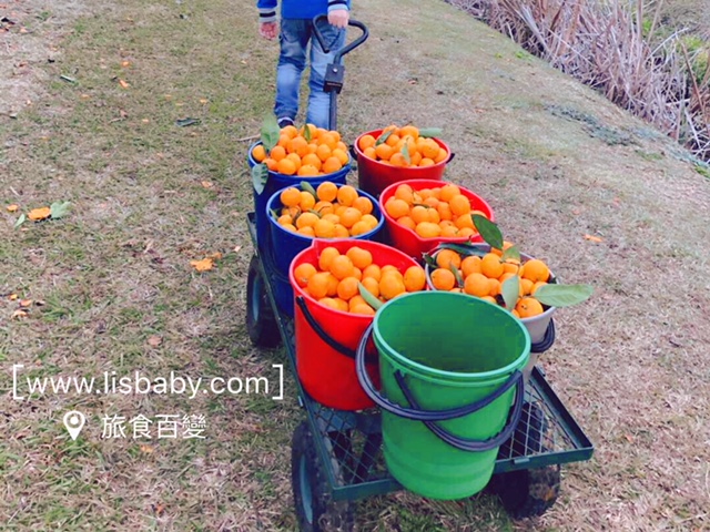 Watkins Family Farm Sydney